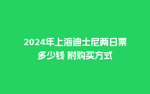 2024年上海迪士尼两日票多少钱 附购买方式