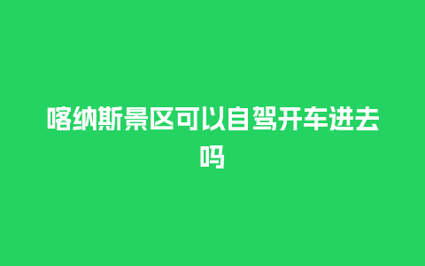 喀纳斯景区可以自驾开车进去吗