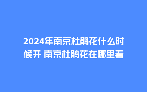 2024年南京杜鹃花什么时候开 南京杜鹃花在哪里看