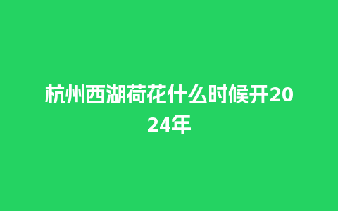 杭州西湖荷花什么时候开2024年