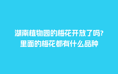 湖南植物园的梅花开放了吗?里面的梅花都有什么品种