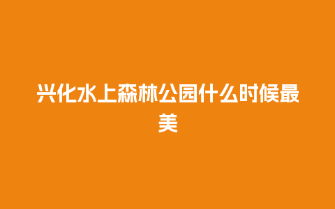 兴化水上森林公园什么时候最美