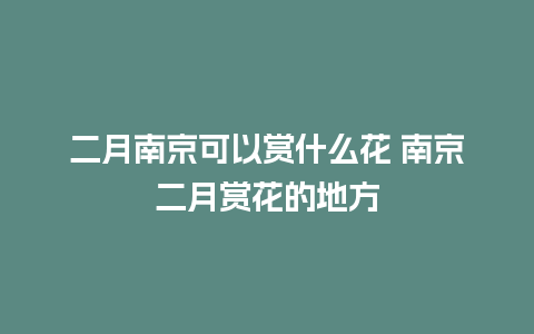 二月南京可以赏什么花 南京二月赏花的地方