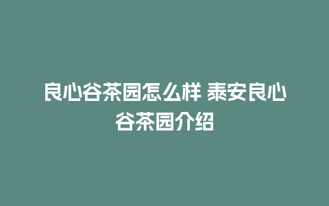 良心谷茶园怎么样 泰安良心谷茶园介绍