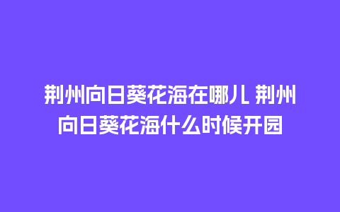 荆州向日葵花海在哪儿 荆州向日葵花海什么时候开园