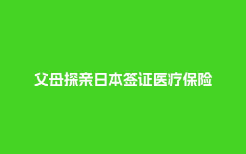 父母探亲日本签证医疗保险