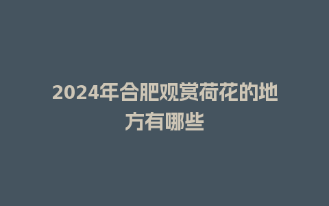 2024年合肥观赏荷花的地方有哪些