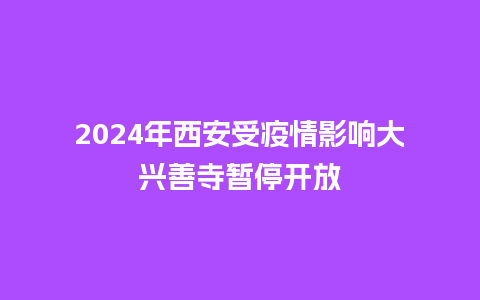 2024年西安受疫情影响大兴善寺暂停开放