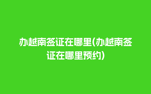 办越南签证在哪里(办越南签证在哪里预约)