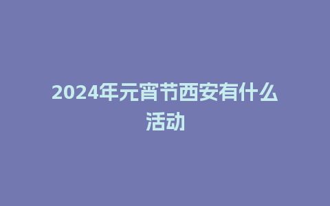 2024年元宵节西安有什么活动