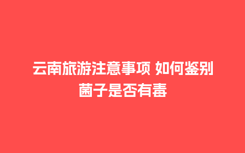 云南旅游注意事项 如何鉴别菌子是否有毒