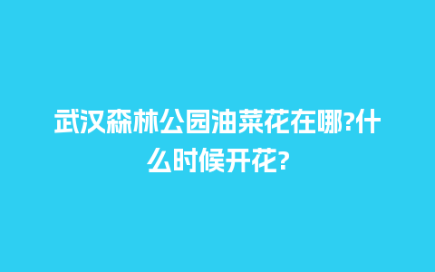 武汉森林公园油菜花在哪?什么时候开花?