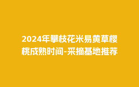 2024年攀枝花米易黄草樱桃成熟时间-采摘基地推荐