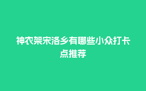 神农架宋洛乡有哪些小众打卡点推荐