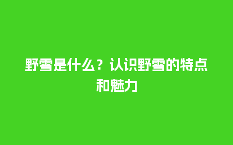 野雪是什么？认识野雪的特点和魅力