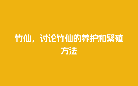 竹仙，讨论竹仙的养护和繁殖方法