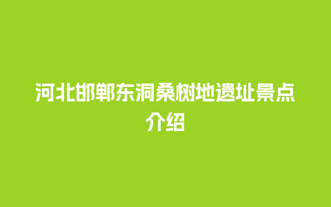 河北邯郸东洞桑树地遗址景点介绍