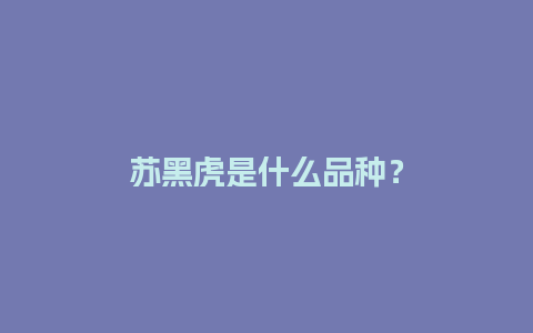 苏黑虎是什么品种？