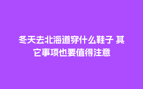 冬天去北海道穿什么鞋子 其它事项也要值得注意