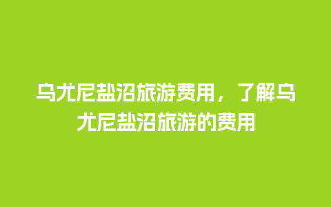 乌尤尼盐沼旅游费用，了解乌尤尼盐沼旅游的费用