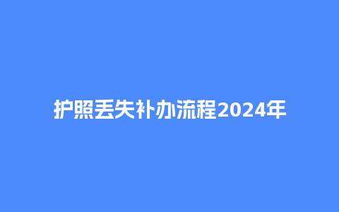 护照丢失补办流程2024年