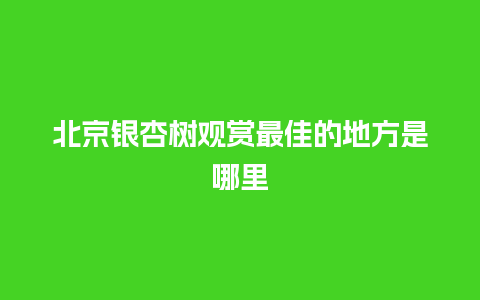 北京银杏树观赏最佳的地方是哪里