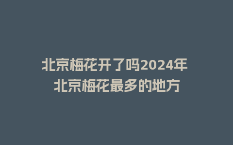 北京梅花开了吗2024年 北京梅花最多的地方