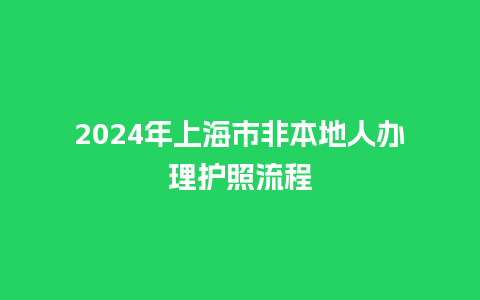 2024年上海市非本地人办理护照流程