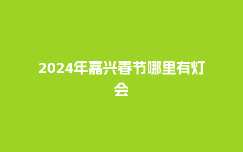 2024年嘉兴春节哪里有灯会