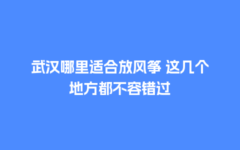 武汉哪里适合放风筝 这几个地方都不容错过