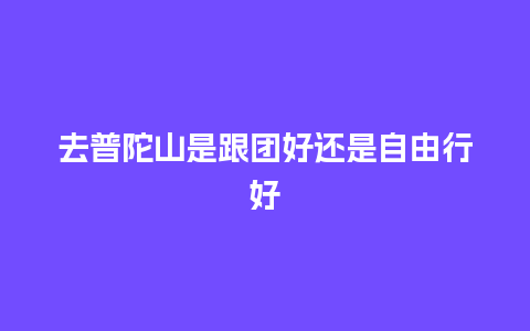 去普陀山是跟团好还是自由行好