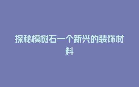 探秘模树石一个新兴的装饰材料