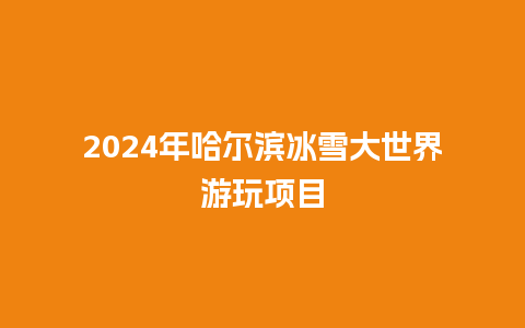 2024年哈尔滨冰雪大世界游玩项目