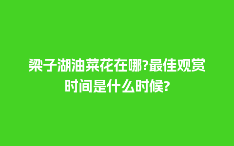 梁子湖油菜花在哪?最佳观赏时间是什么时候?