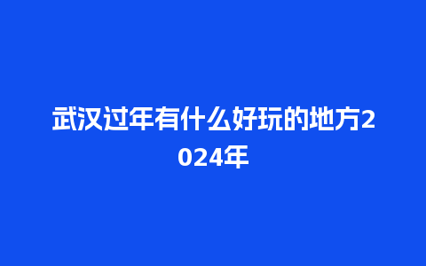 武汉过年有什么好玩的地方2024年