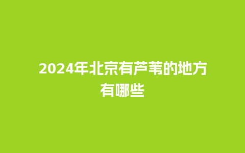 2024年北京有芦苇的地方有哪些