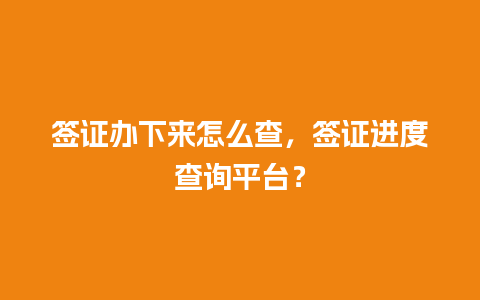 签证办下来怎么查，签证进度查询平台？