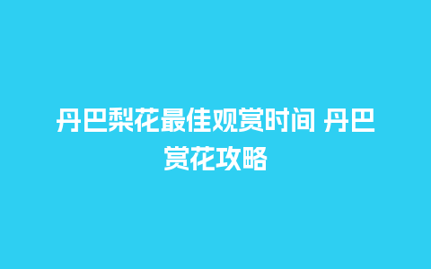 丹巴梨花最佳观赏时间 丹巴赏花攻略