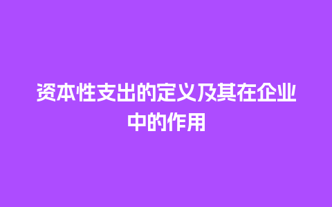 资本性支出的定义及其在企业中的作用