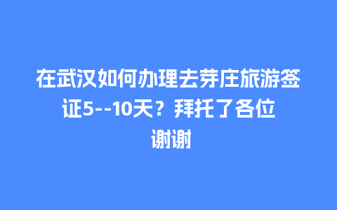 在武汉如何办理去芽庄旅游签证5–10天？拜托了各位 谢谢