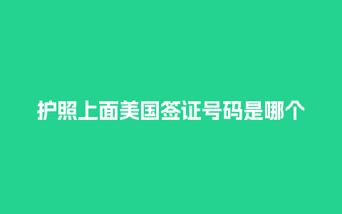 护照上面美国签证号码是哪个