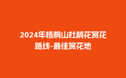 2024年梧桐山杜鹃花赏花路线-最佳赏花地