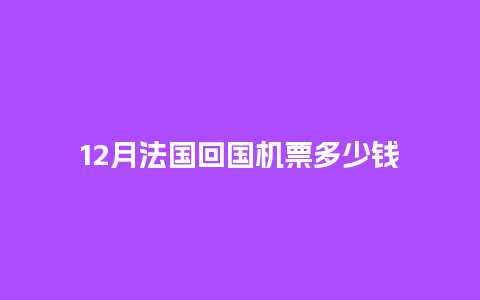 12月法国回国机票多少钱