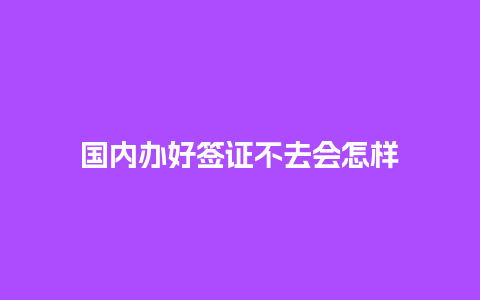 国内办好签证不去会怎样