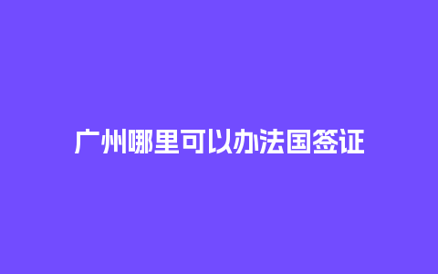 广州哪里可以办法国签证