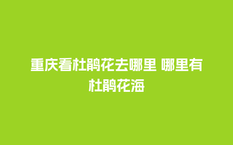 重庆看杜鹃花去哪里 哪里有杜鹃花海