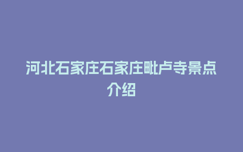 河北石家庄石家庄毗卢寺景点介绍