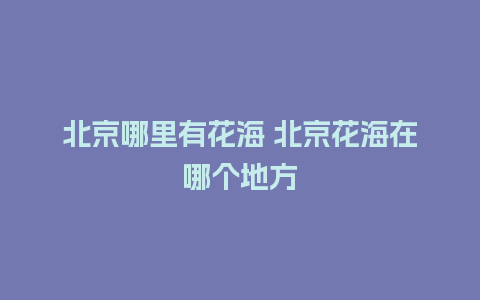 北京哪里有花海 北京花海在哪个地方