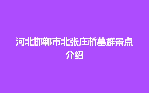 河北邯郸市北张庄桥墓群景点介绍