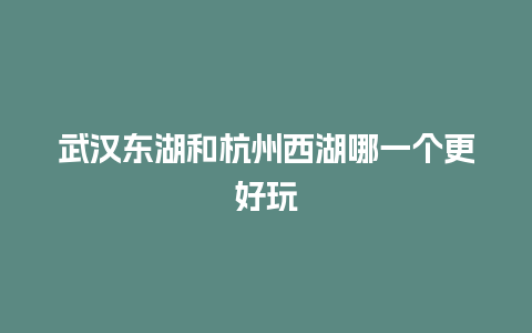 武汉东湖和杭州西湖哪一个更好玩